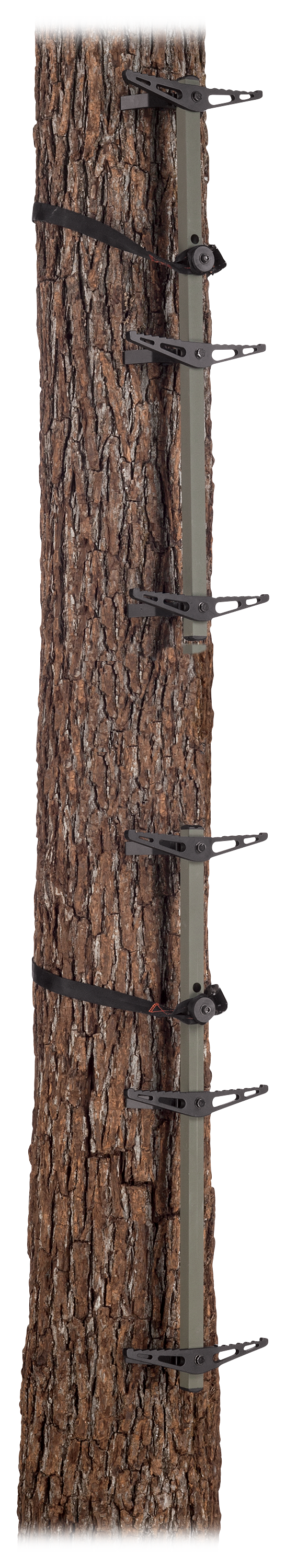 API Outdoors Hunt'n Sticks Climbing System | Cabela's